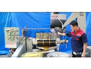 全自動榨油機全套設備有什么?
